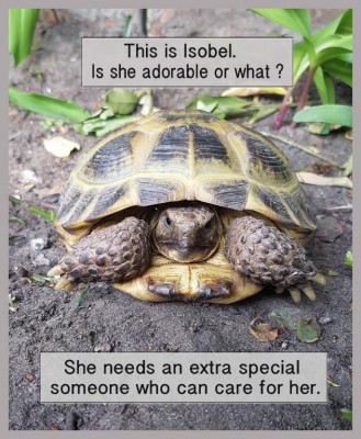 Isobel_Anne.jpg