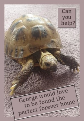 George_Gemma.jpg