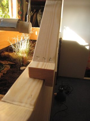 m_IMG_9421.jpg