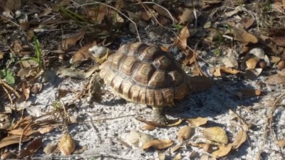20180304_160445.jpg