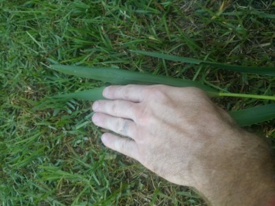 20190616_084408.jpg