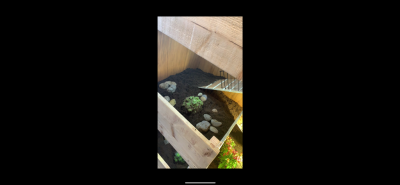 D046C406-46F6-499F-83E4-8F1DE62832D4.png
