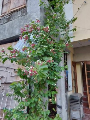 received_486409002203512.jpeg