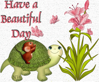 !cid_2927E488322C45E28CDE616D749FB43A@ninapc.gif