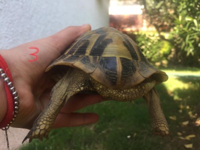 E5492F58-D358-44F5-A00C-2B0B04D143F2.jpeg