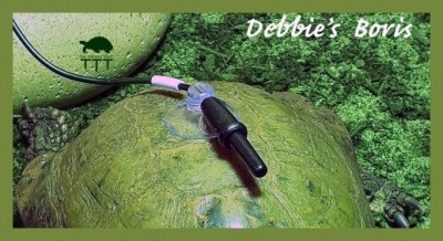 Thermometer checking_TTT_Debbie_Swindells.jpg