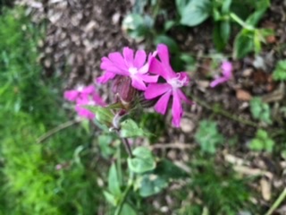 812140AD-3D10-44E8-9B7C-114691324D30.jpeg
