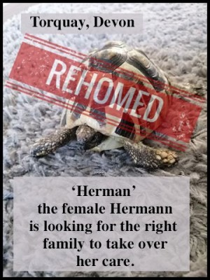 HermannFemale_Stefanie.jpg