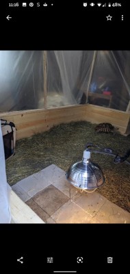 enclosure 1.jpg