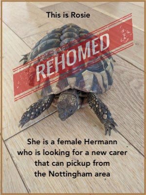 Rosie_Hermann_Lynne.jpg