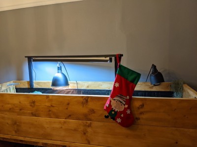 PXL_20201129_170625480.jpg