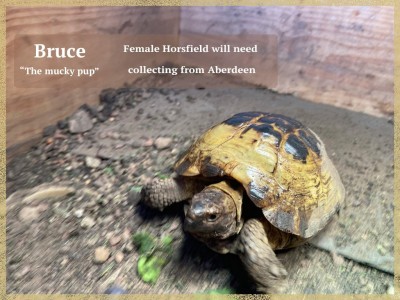 Bruce_Raymond..jpg