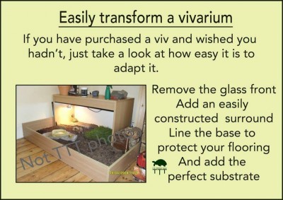 Viv conversion.jpeg