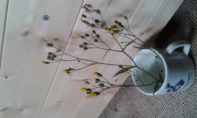 20170704_162111.jpg