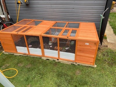 Tortoise House.jpg