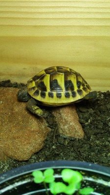 20161022_173319 - Copy.jpg