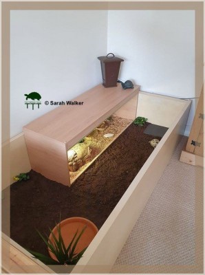 Viv Conversion.jpg
