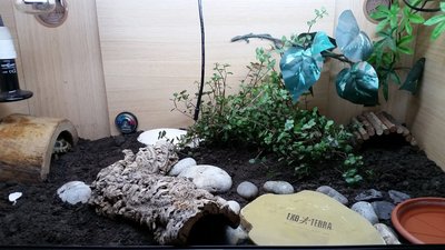 20170708_082239.jpg