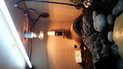 20170708_082318.jpg
