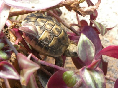 DSCN3398.JPG