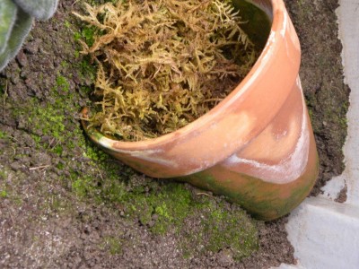 DSCN3637.JPG