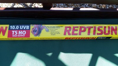 20170708_103232.jpg