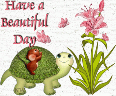 !cid_2927E488322C45E28CDE616D749FB43A@ninapc.gif