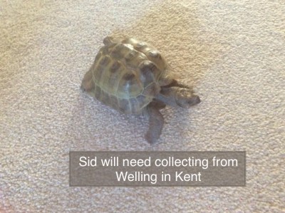 25311185-3F76-4026-B943-2DCE49451EA7.jpeg
