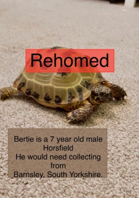E609F7E4-885C-44E8-B983-4D4F4596F923.jpeg