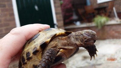 20170716_143515.jpg
