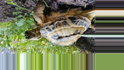 20170729_144912_resized.jpg