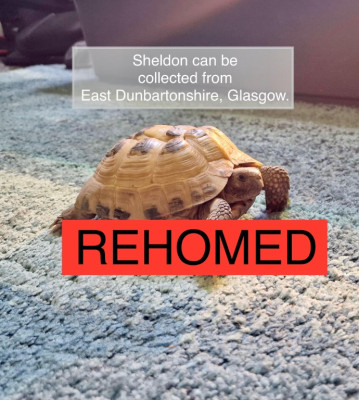 20230603_133428.jpeg