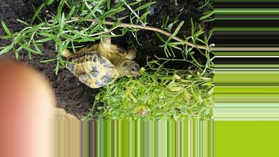 20170729_144538_resized_1.jpg