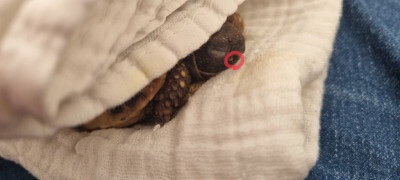 IMG_8766.jpeg