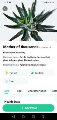 Screenshot_20230821_190451_com.plantparentai.app.jpg