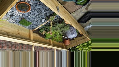 20170729_144508_resized.jpg