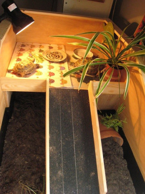 Top level.  Ramp just rests on wall.jpg