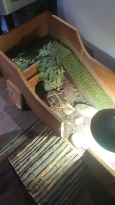VideoCapture_20230919-171720.jpg