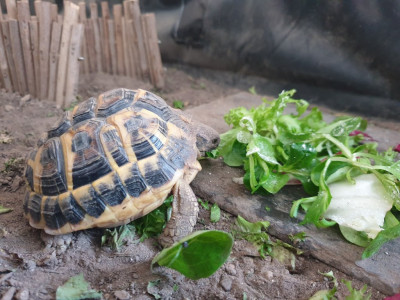 Eating_Small.jpg