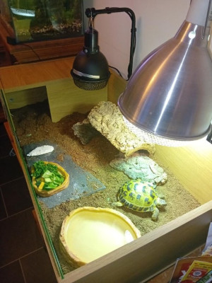 Timmy's setup.jpeg