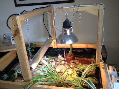 lamps hanging by chains.JPG
