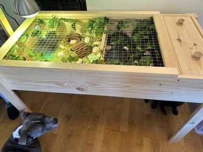 m_Ambrosius table from above.jpg
