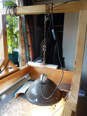 Arm with light on chain with 'S' hook.jpg