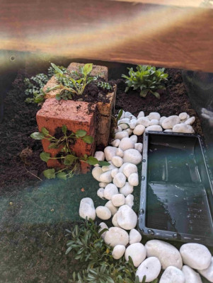 reduced brick 3.jpg
