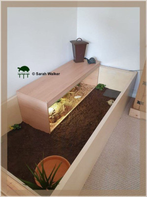 Viv Conversion.jpg