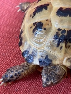 IMG_6566 Small.jpeg