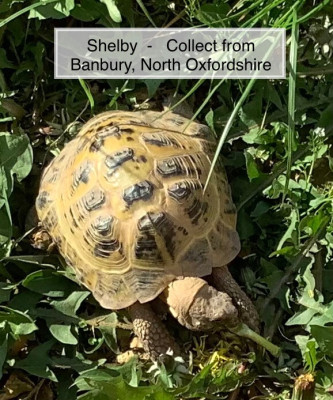 image1.jpeg
