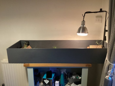 m_Reggie's enclosure 1.jpg