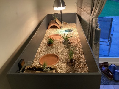 m_Reggie's enclosure 2.jpg