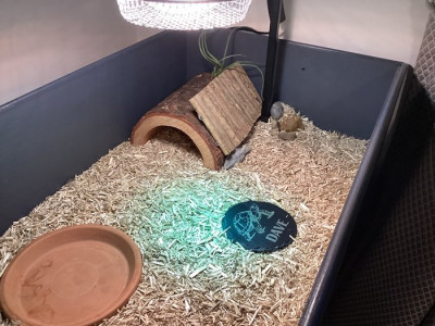 m_Reggie's enclosure 4.jpg